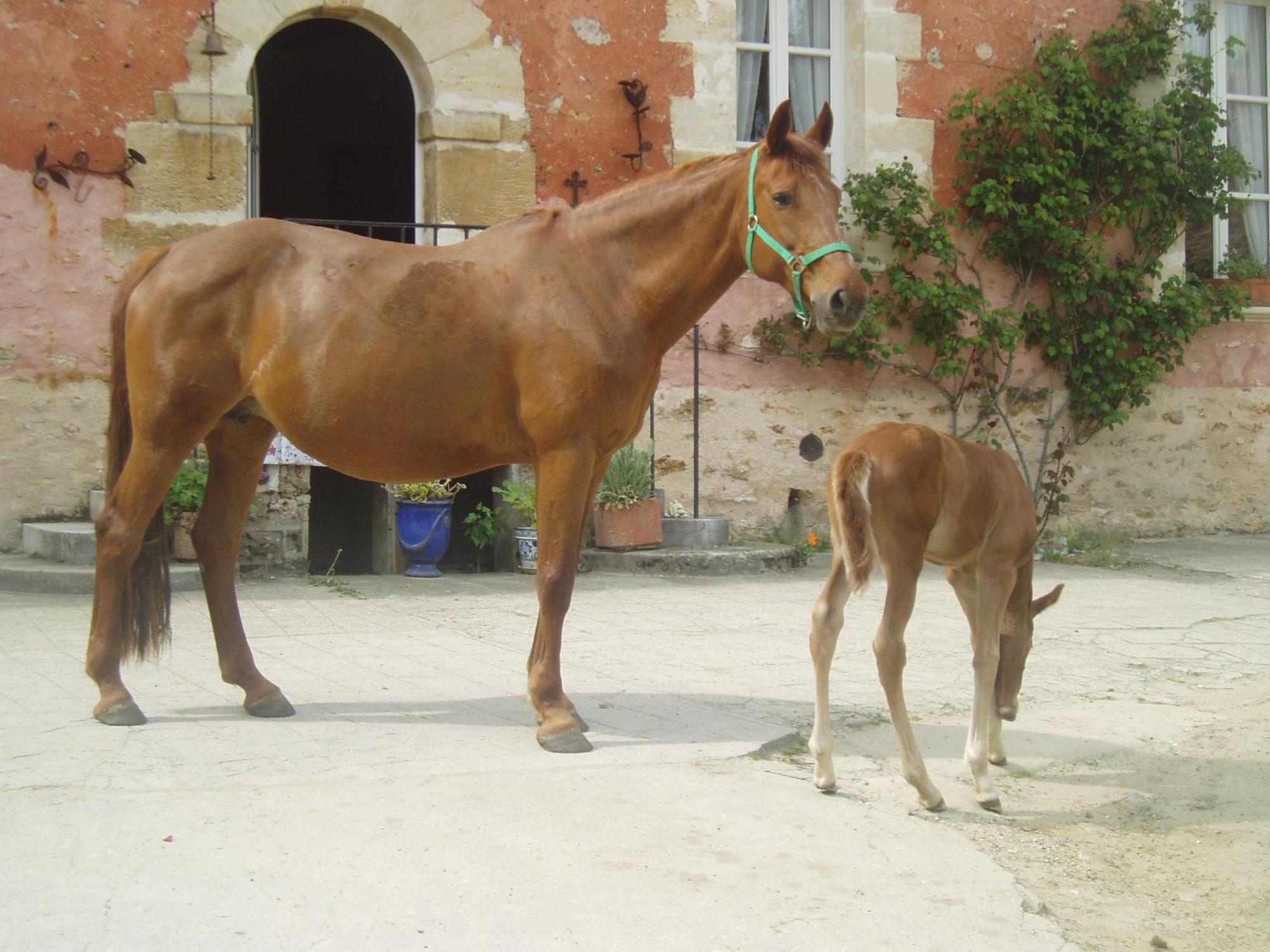 Bed and Breakfast La Ferme Rose Cergy Esterno foto