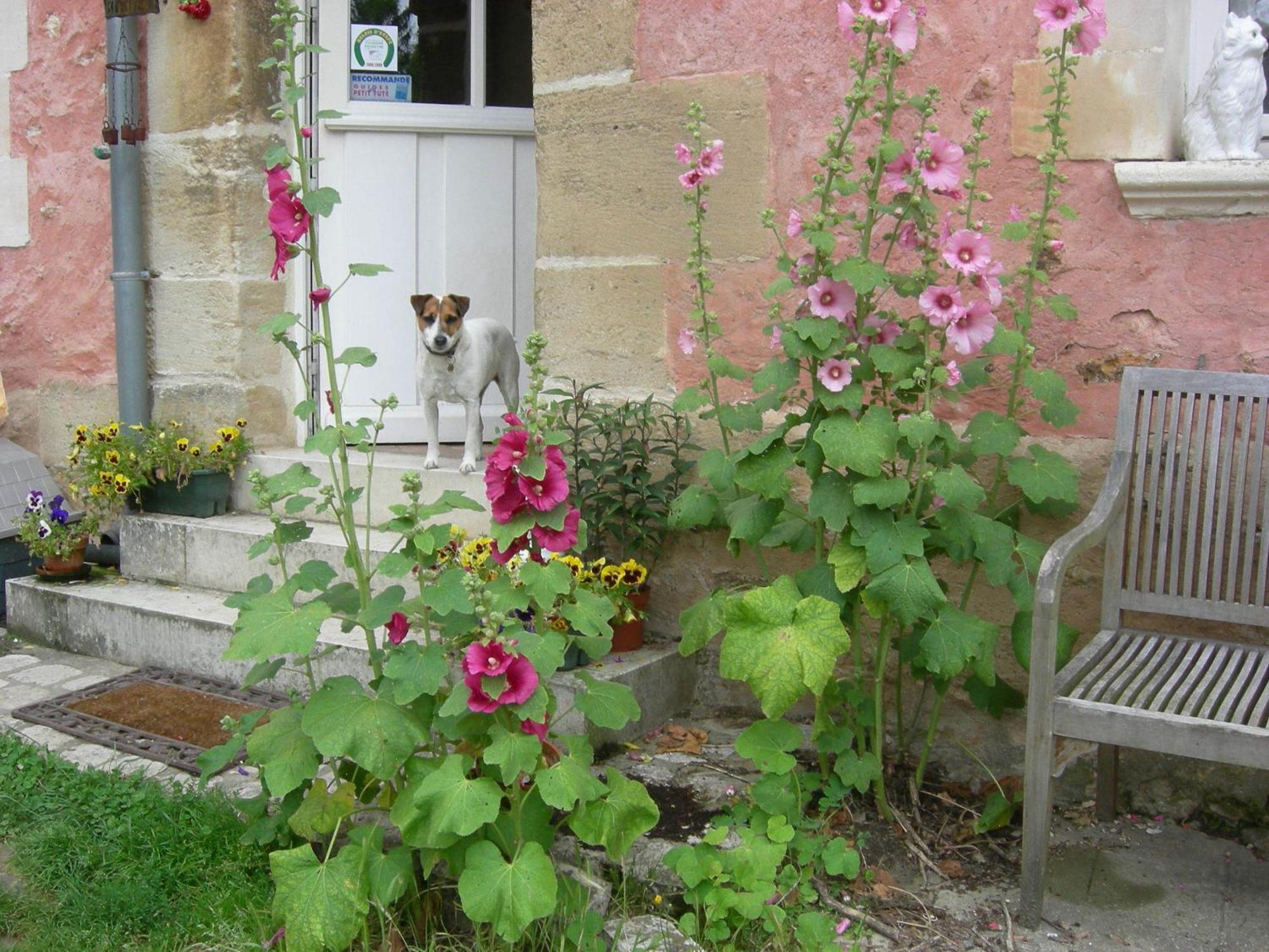 Bed and Breakfast La Ferme Rose Cergy Esterno foto